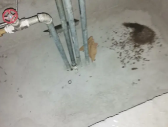 白云鄂博卫生间测漏水价格明细